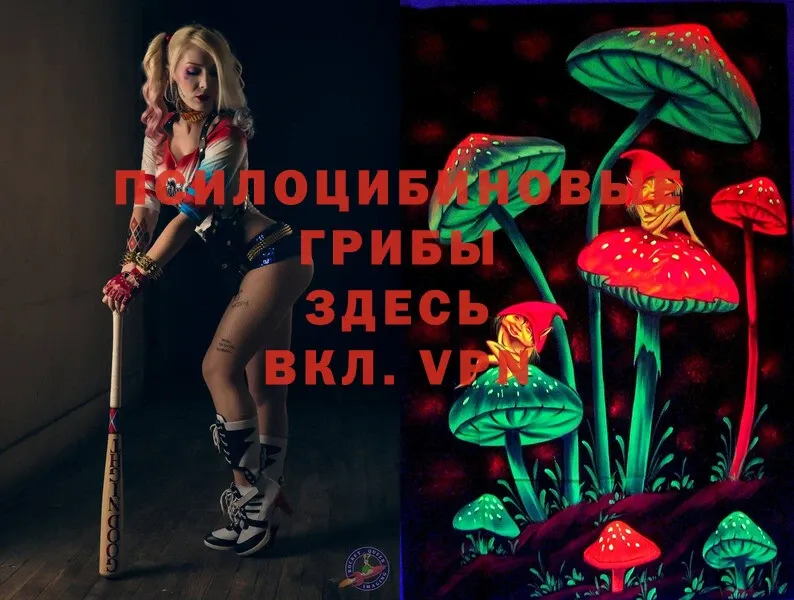 Галлюциногенные грибы MAGIC MUSHROOMS  Волосово 